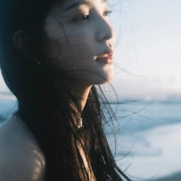 修女有枪封面